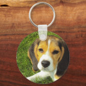 Beagle Schlüsselanhänger (Vorderseite)