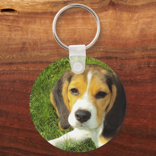 Beagle Schlüsselanhänger (Vorderseite)