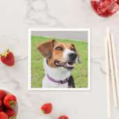 Beagle Serviette (Beispiel)