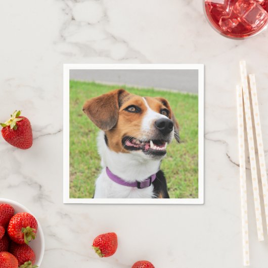 Beagle Serviette (Beispiel)