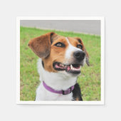 Beagle Serviette (Vorderseite)