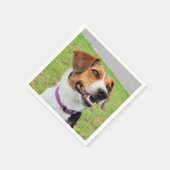 Beagle Serviette (Ecke)