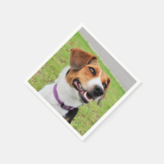 Beagle Serviette (Ecke)