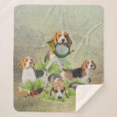 Beagle Sherpadecke (Vorderseite)