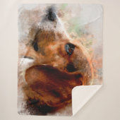 Beagle Sherpadecke (Vorderseite)