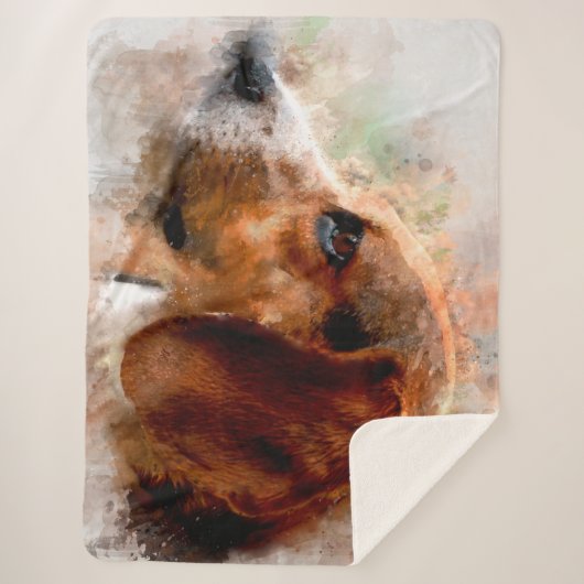 Beagle Sherpadecke (Vorderseite)