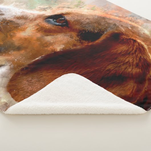 Beagle Sherpadecke (3/4)