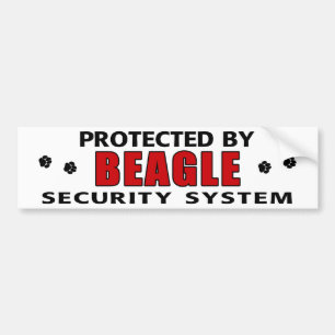 Beagle-Sicherheit Autoaufkleber