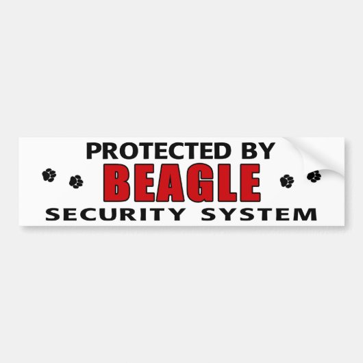Beagle-Sicherheit Autoaufkleber (Vorne)