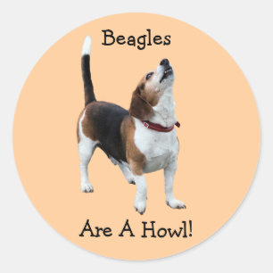 Beagle sind ein Howl Funny Hund Sticker