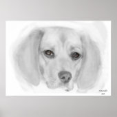 Beagle Sketch Poster (Vorne)