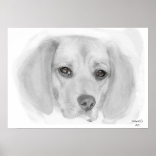 Beagle Sketch Poster