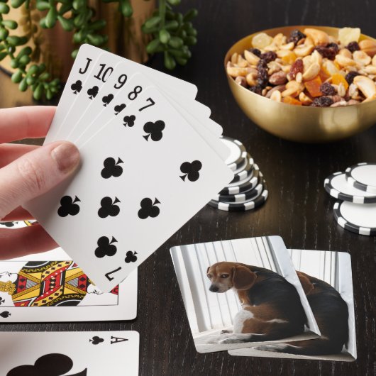 Beagle Spielkarten (In Situ)