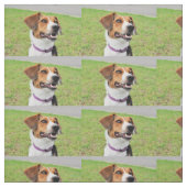 Beagle Stoff (Muster)