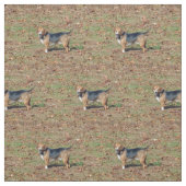 Beagle Stoff (Muster)