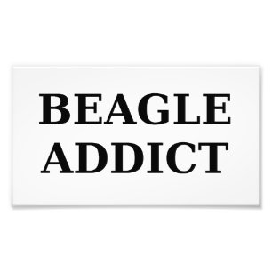 Beagle-Süchtig Fotodruck
