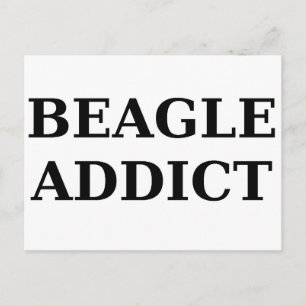 Beagle-Süchtig Postkarte