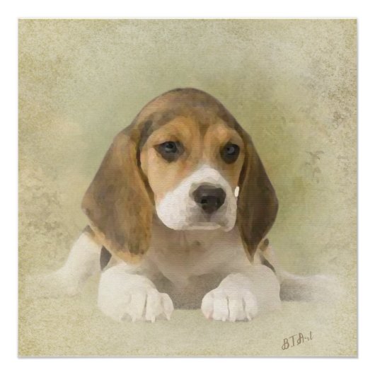 Beagle Tapestyle Imitate Canvas Print Acrylic Prin Poster (Vorderseite)