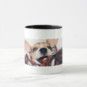 BEAGLE TASSE (Zentrum)
