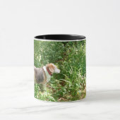 Beagle-Tasse  Tasse (Zentrum)