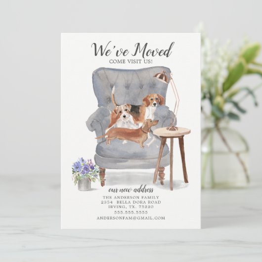 Beagle Terrier & Dackel | Ankündigung der Beförder (Stehend Vorderseite)