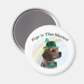 Beagle Top of the Morn'; Beagle St. Patrick's Day Magnet (Vorderseite/Rückseite)