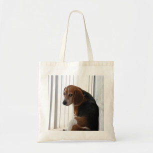 Beagle Tragetasche
