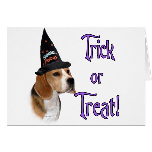 Beagle Trick (Vorderseite (Horizontal))