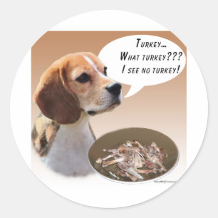 Beagle Türkei Runder Aufkleber