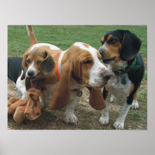 Beagle-u. Dachshund-Jagdhund-Freunde Poster