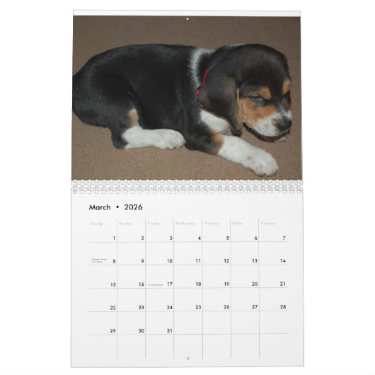 Beagle-Überlaufkalender Kalender (Mär 2026)