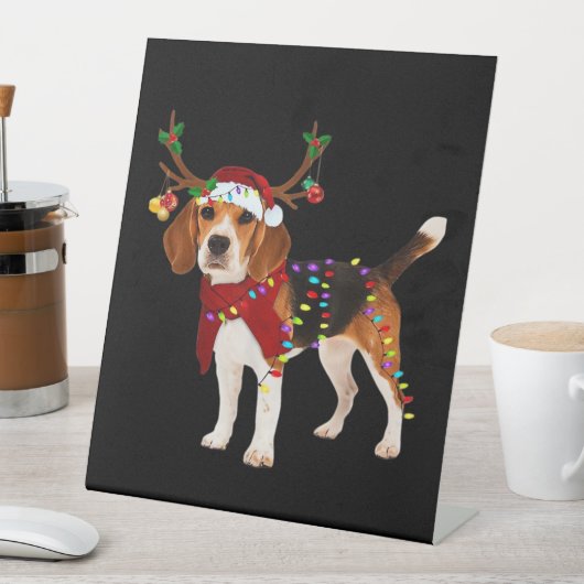 Beagle und Weihnachten Klassischer T - Shirt Sockelschild (In Situ)