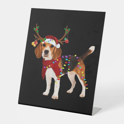 Beagle und Weihnachten Klassischer T - Shirt Sockelschild (Vorderseite)
