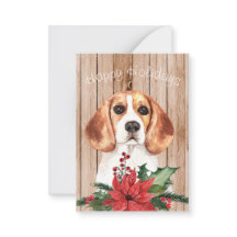 Beagle und Weihnachtsgeschäft
