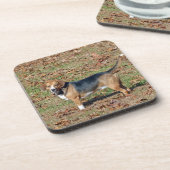 Beagle Untersetzer (Linke Seite)