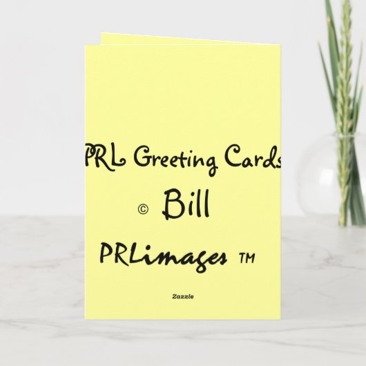 Beagle Vatertagskarte Karte (Rückseite)