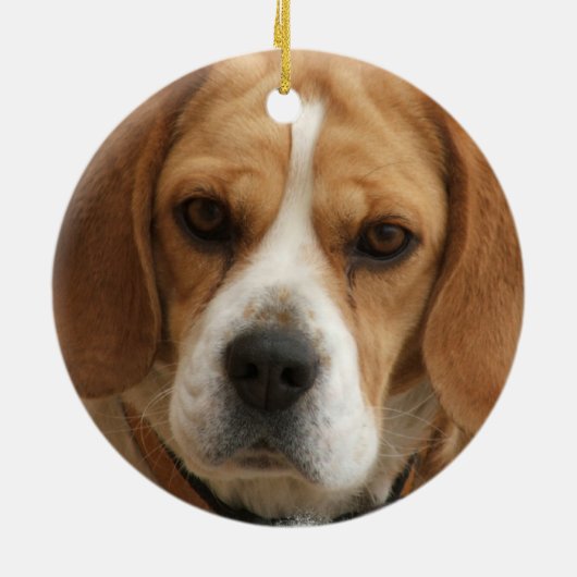 Beagle-Verzierung Keramik Ornament (Hinten)