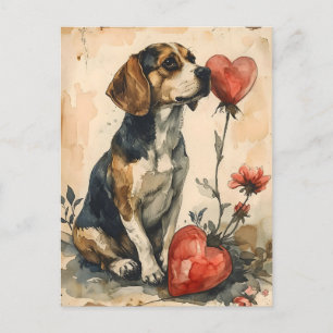Beagle Vintage Valentinstag  Postkarte