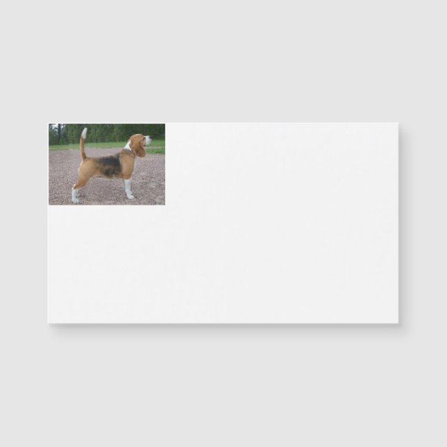 Beagle voll 2.png magnetkarte (Vorderseite)