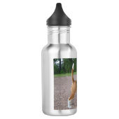 Beagle voll 2.png trinkflasche (Links)
