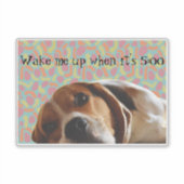 Beagle Weckte mich auf Aufkleber (Vorderseite)