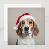Beagle Weihnachten Einladung (Vorne/Hinten)