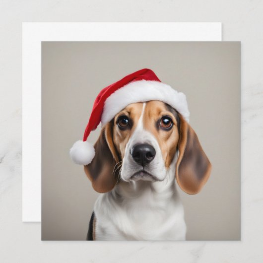 Beagle Weihnachten Einladung (Vorne/Hinten)