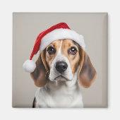 Beagle Weihnachten Magnet (Vorne)