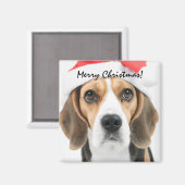 Beagle Weihnachten Magnet (Vorderseite/Rückseite)