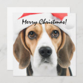 Beagle Weihnachten Mitteilungskarte (Vorne/Hinten)