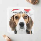Beagle Weihnachten Mitteilungskarte (Vorderseite/Rückseite Beispiel)