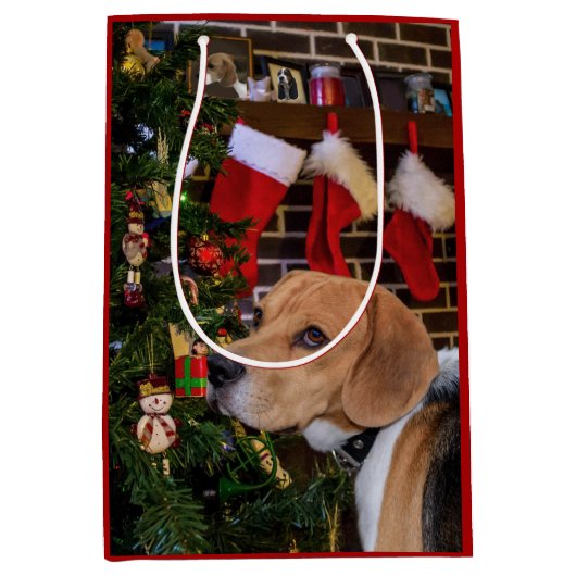 Beagle Weihnachten Mittlere Geschenktüte (Vorderseite)