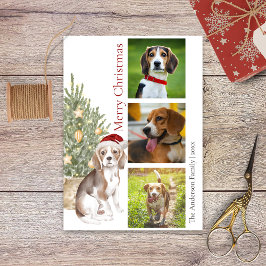Beagle Weihnachtsbaum Haustier Hund Foto Feiertagskarte