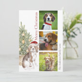Beagle Weihnachtsbaum Haustier Hund Foto Feiertagskarte (Stehend Vorderseite)